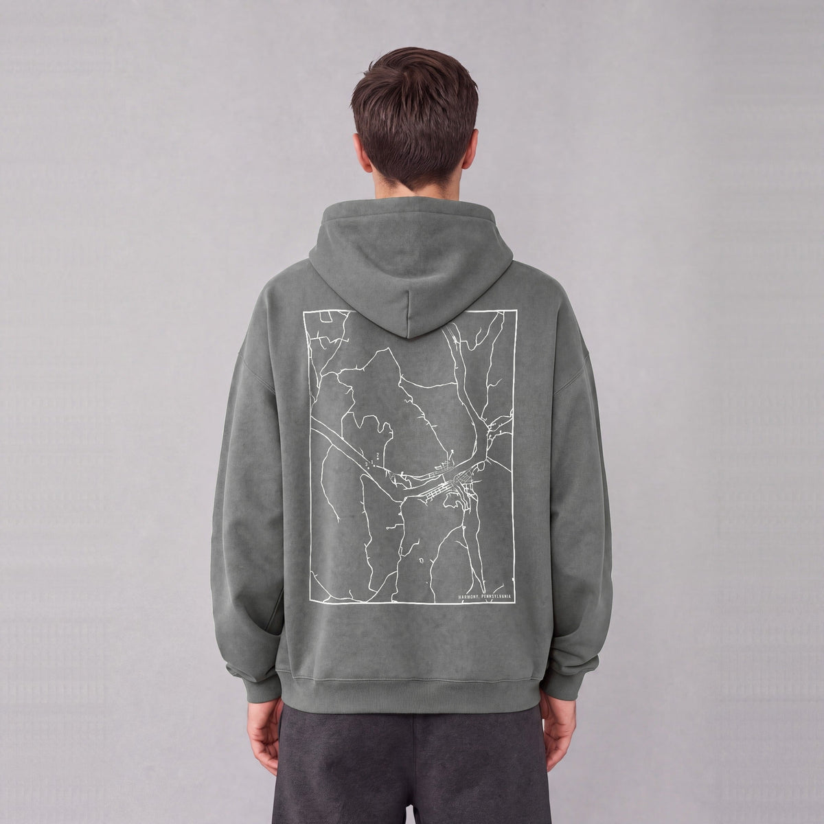 Harmony map hoodie, back print on model - Gray