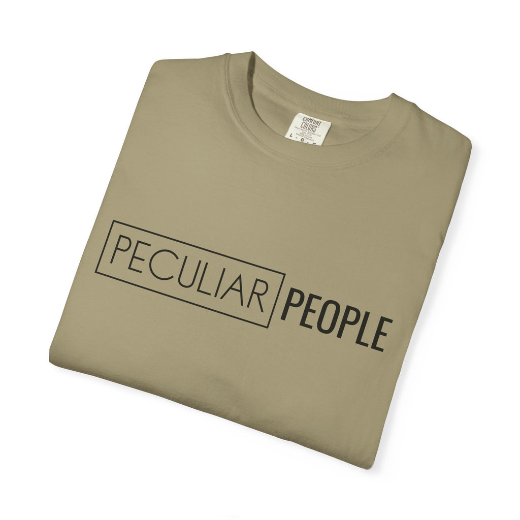 Essential Tee - Washington D.C. Temple