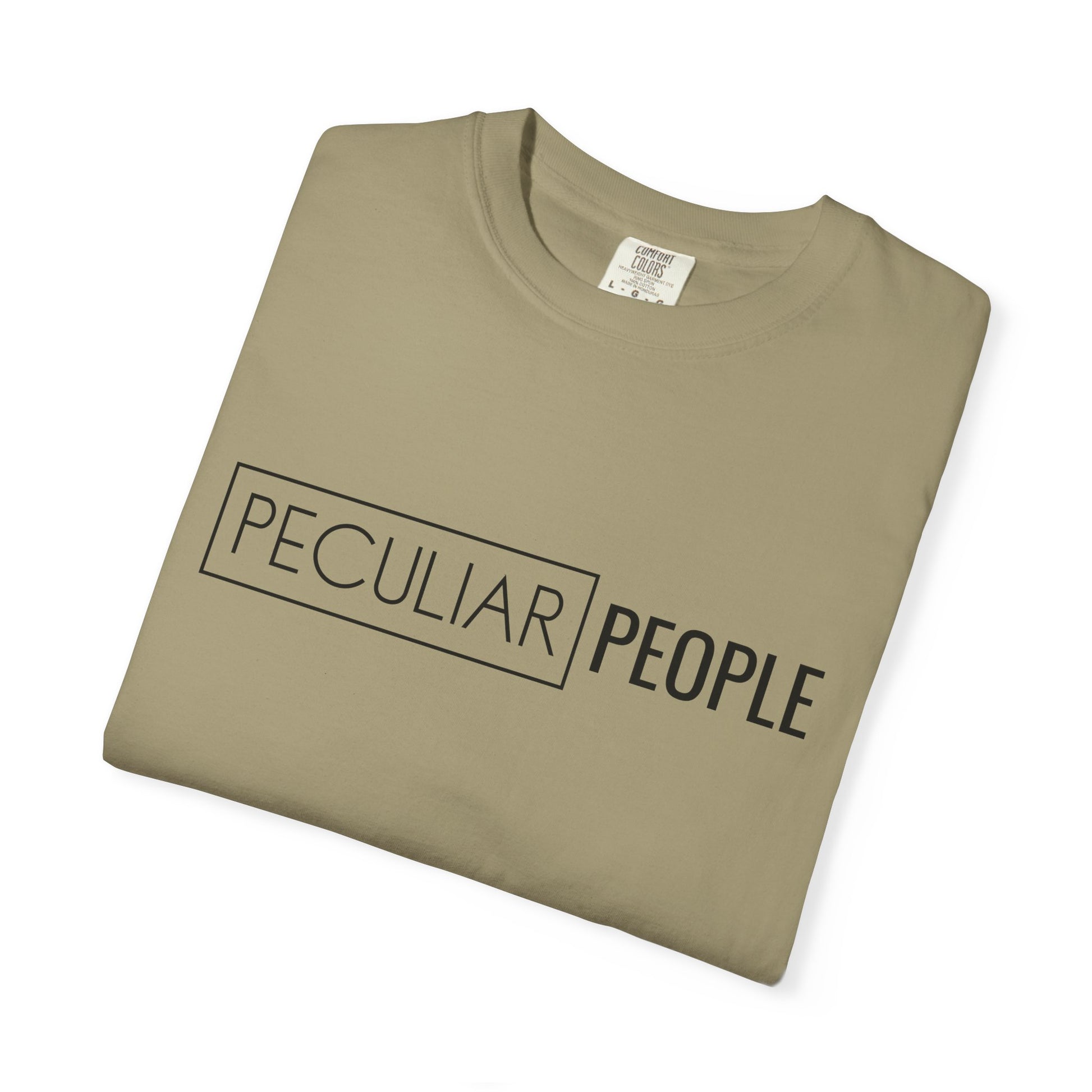 Essential Tee - Washington D.C. Temple