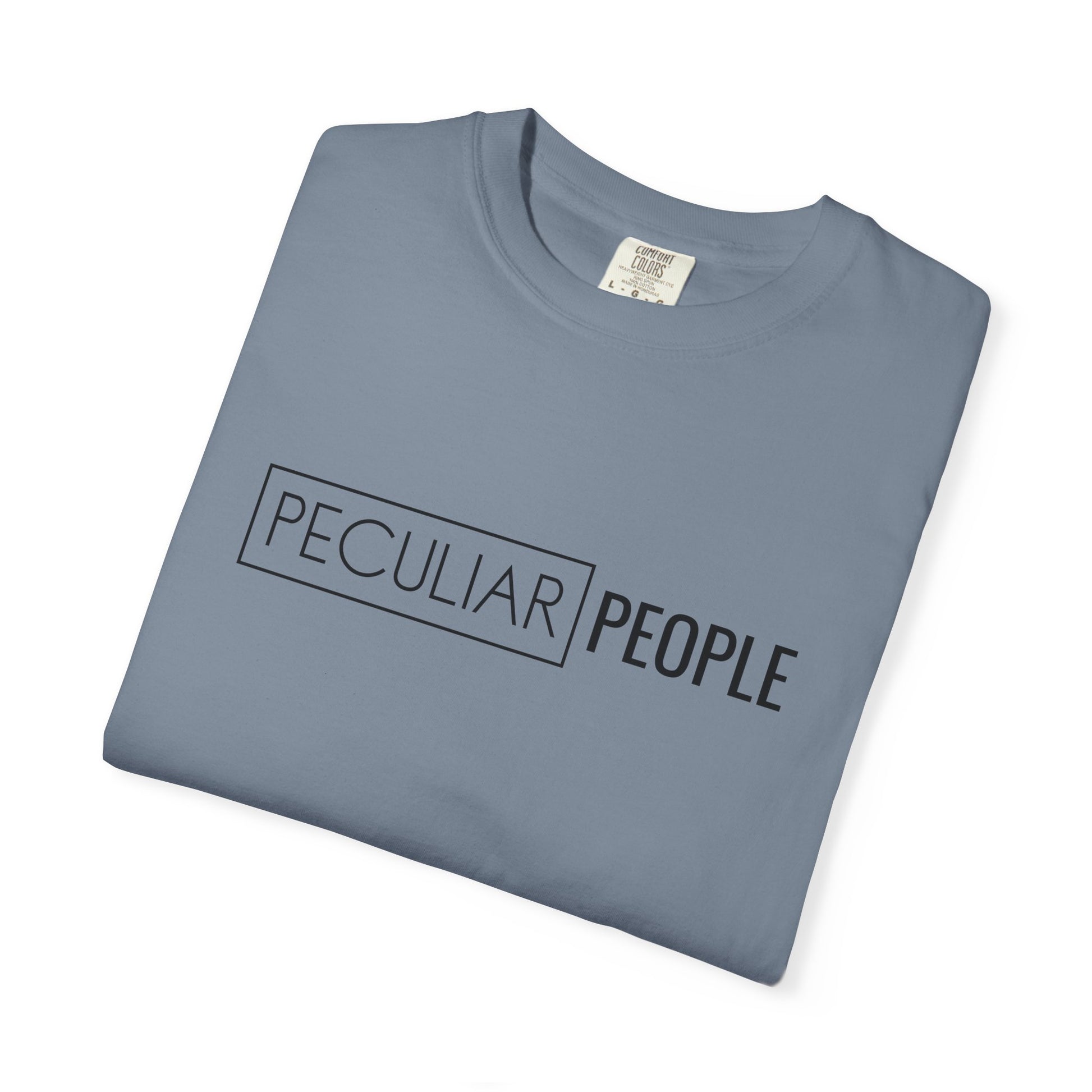 Essential Tee — Salt Lake City Temple Sketch Tee