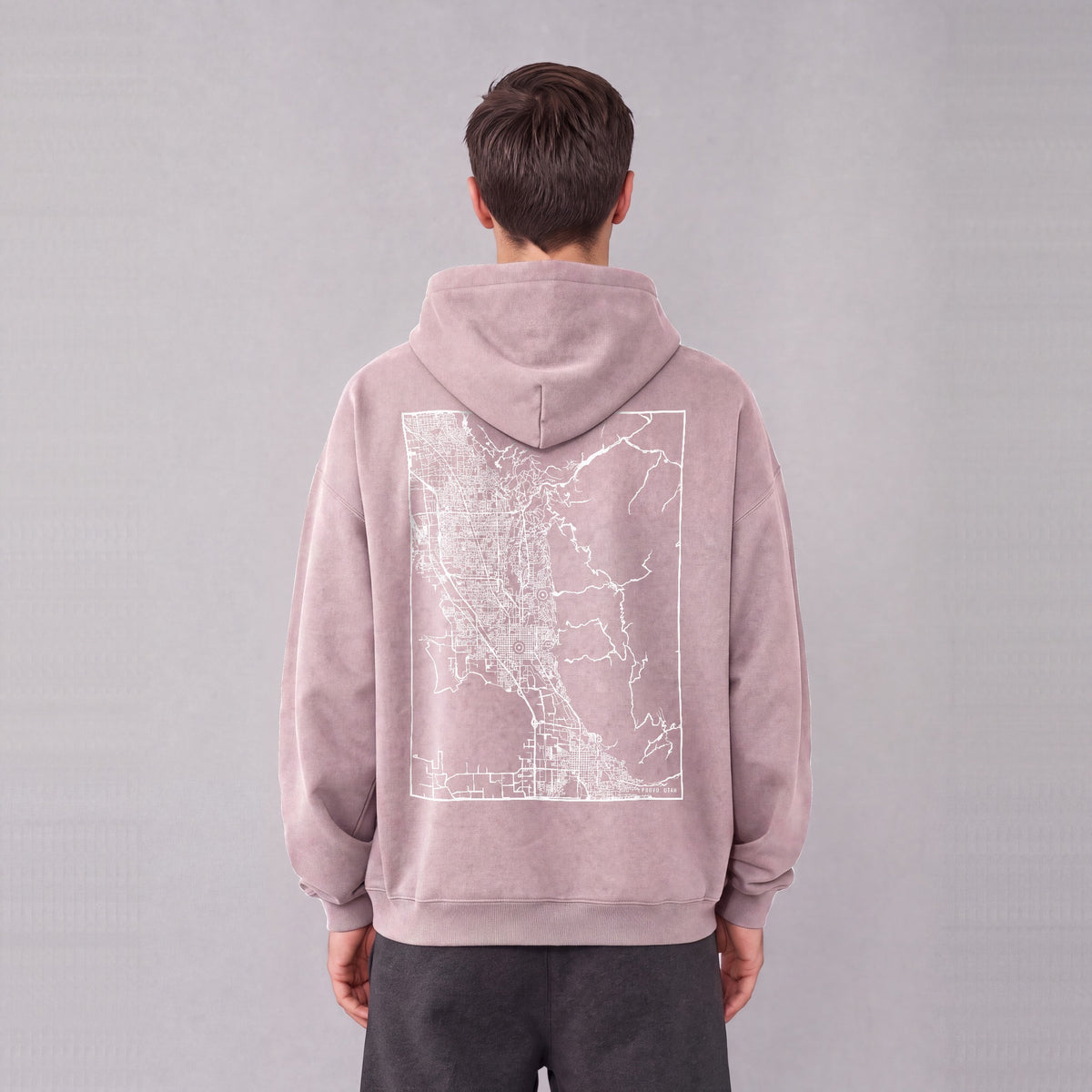 Provo map hoodie, back print on model - Mauve